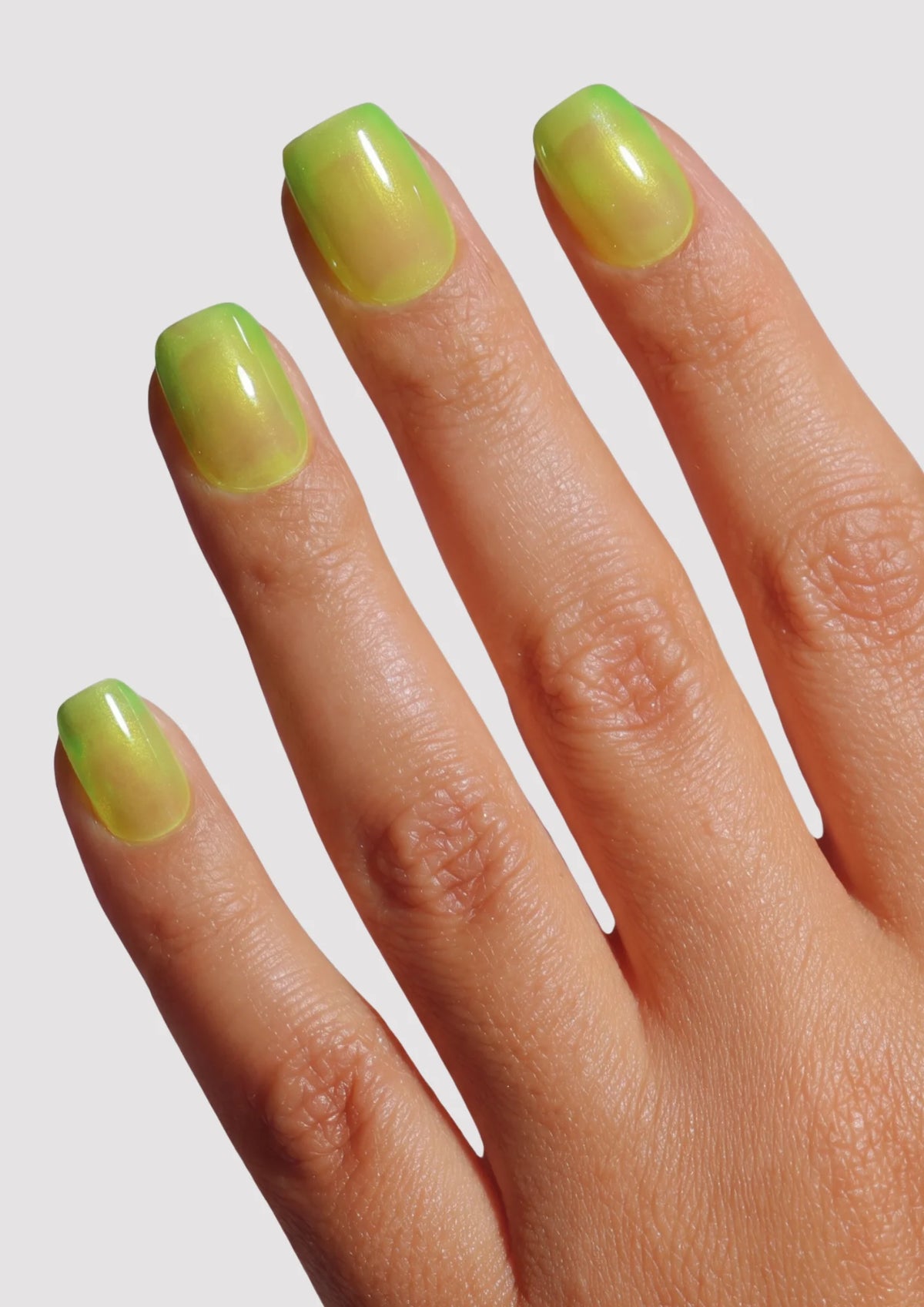Lemon Lime | Jelly Gel