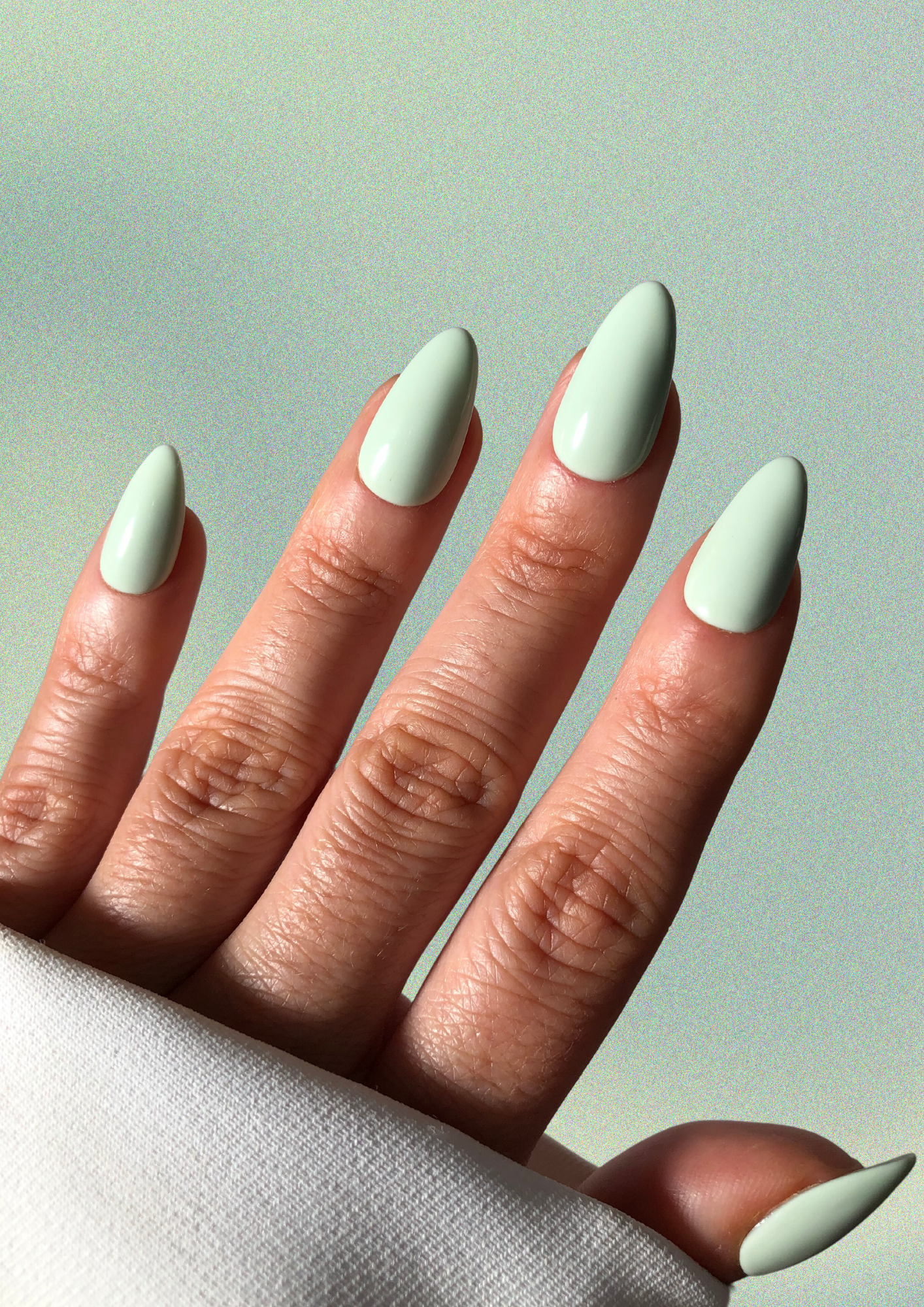 Petra Pistachio