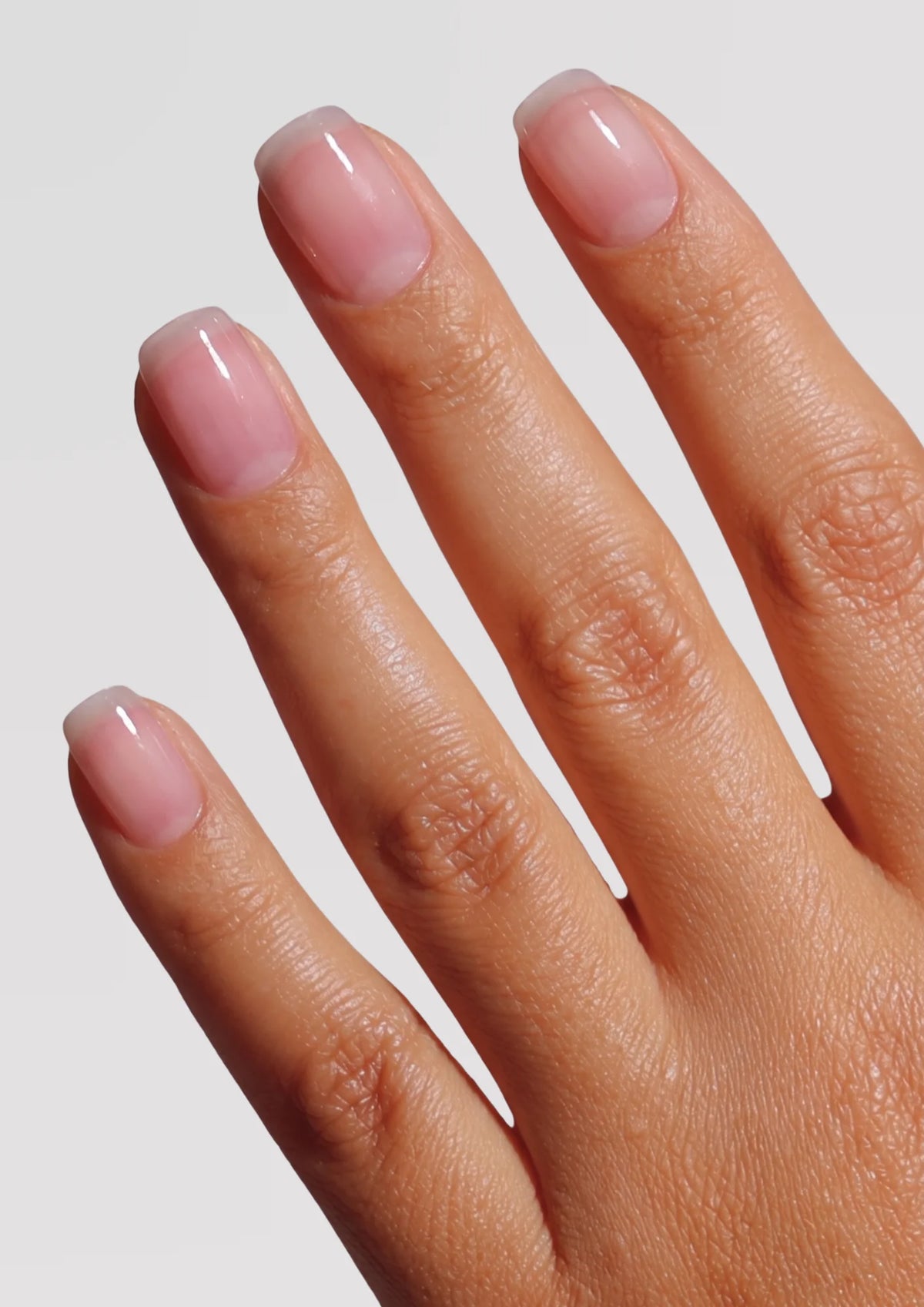 Shania Sheer | Builder Gel