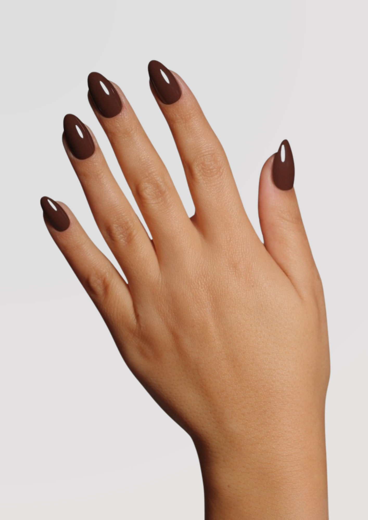Coco Chocolate - Short Almond | Press On Nails