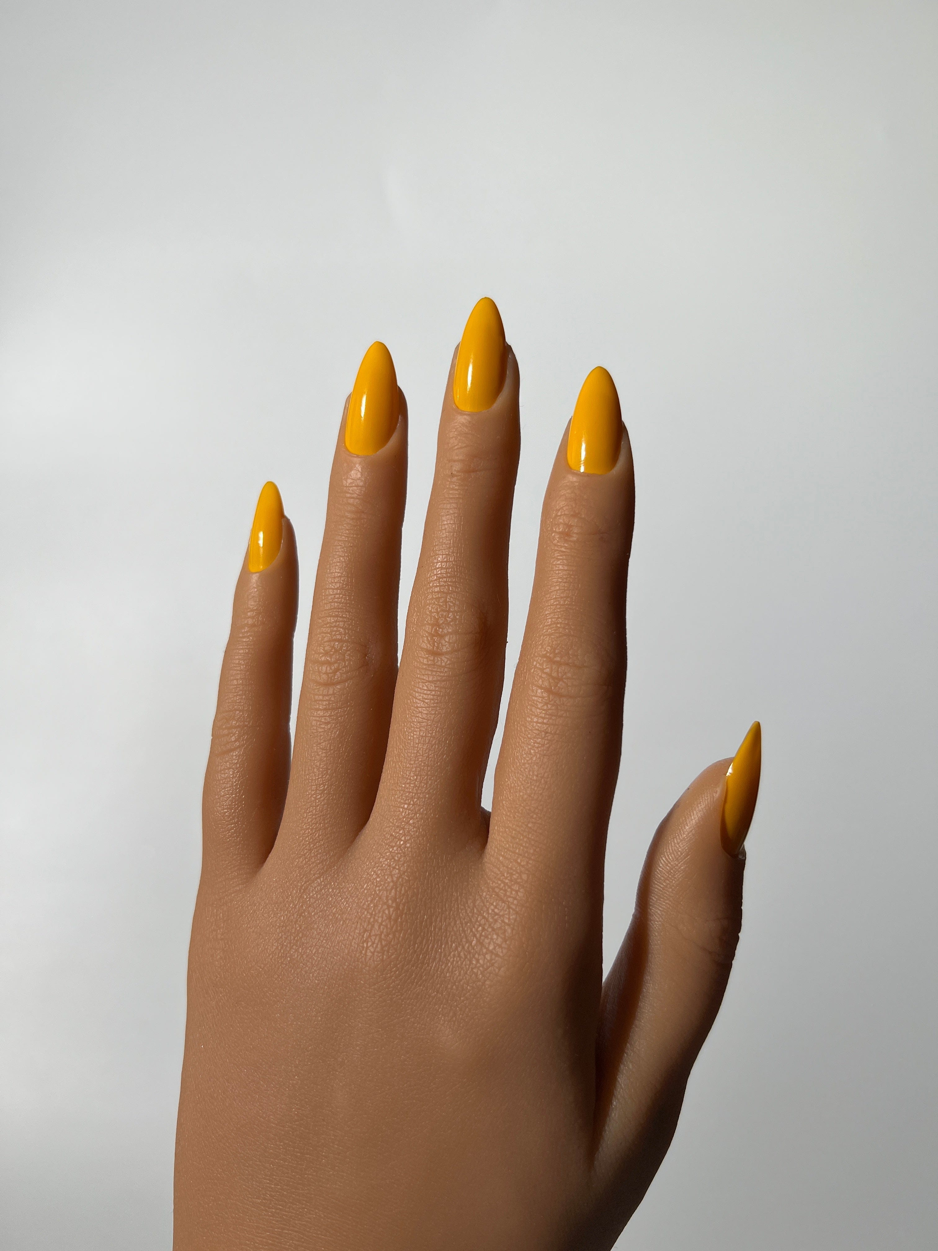 Yellow Sadie Sunrise