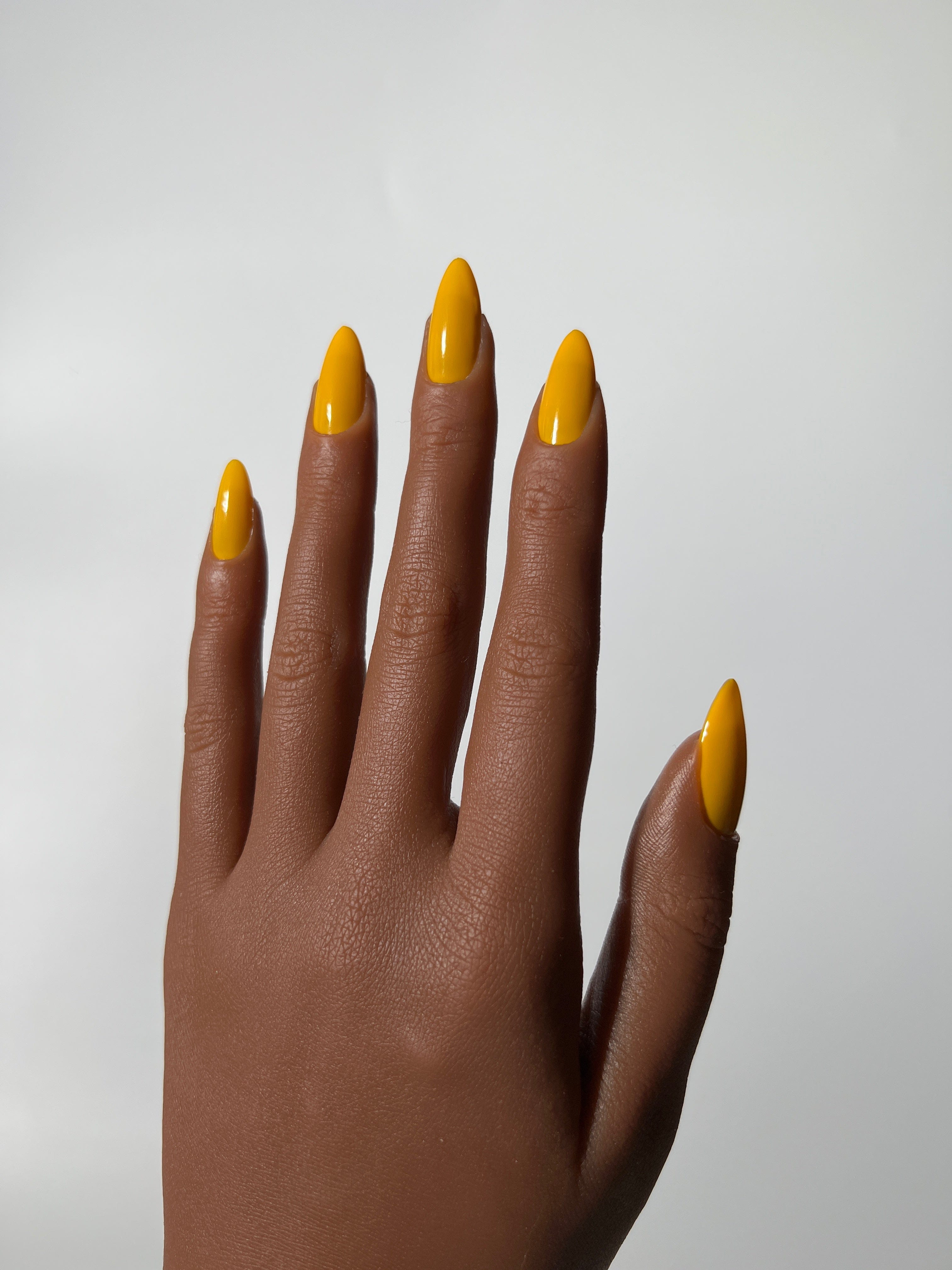 Yellow Sadie Sunrise
