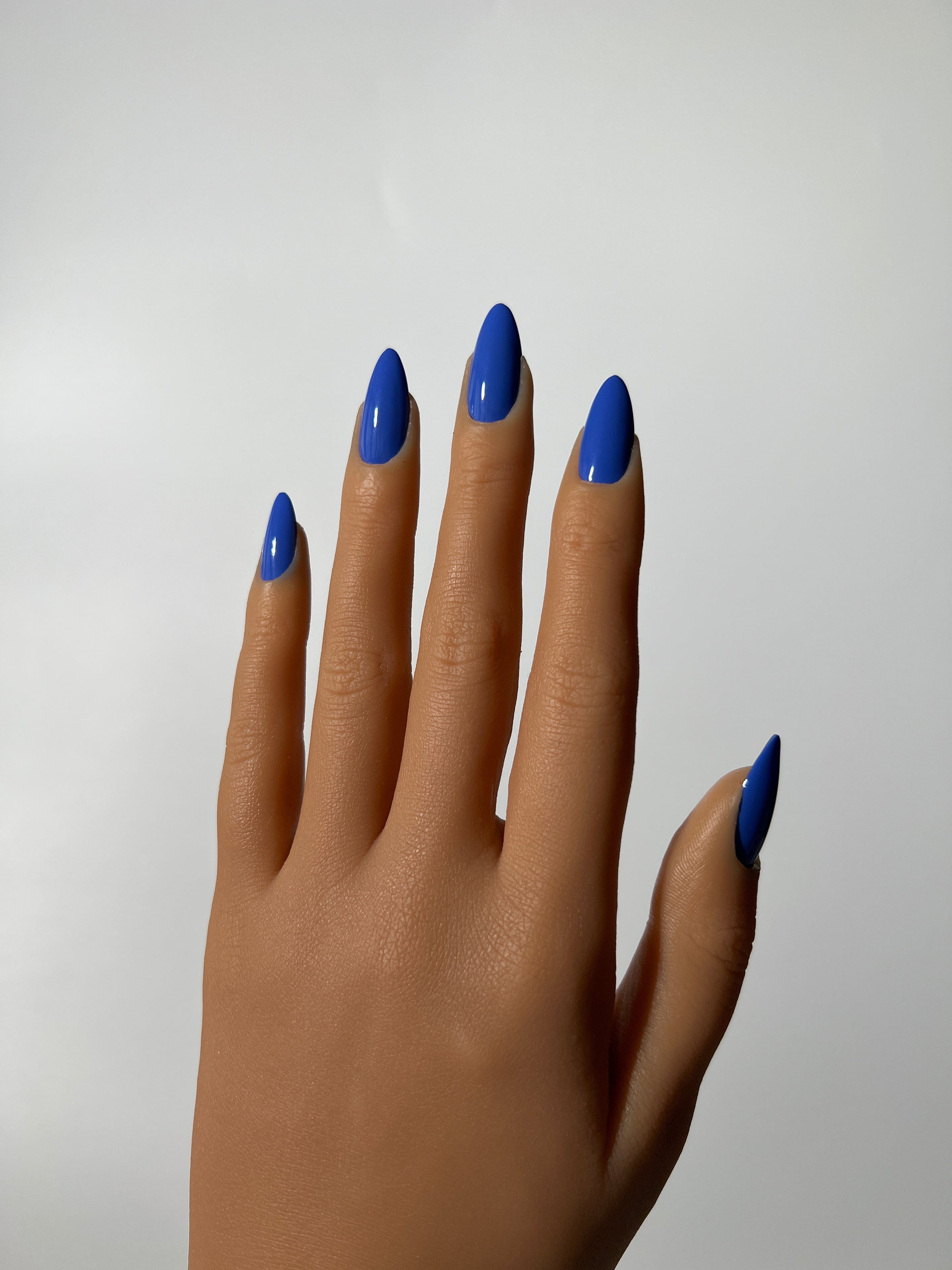 Blue Beverly Blue