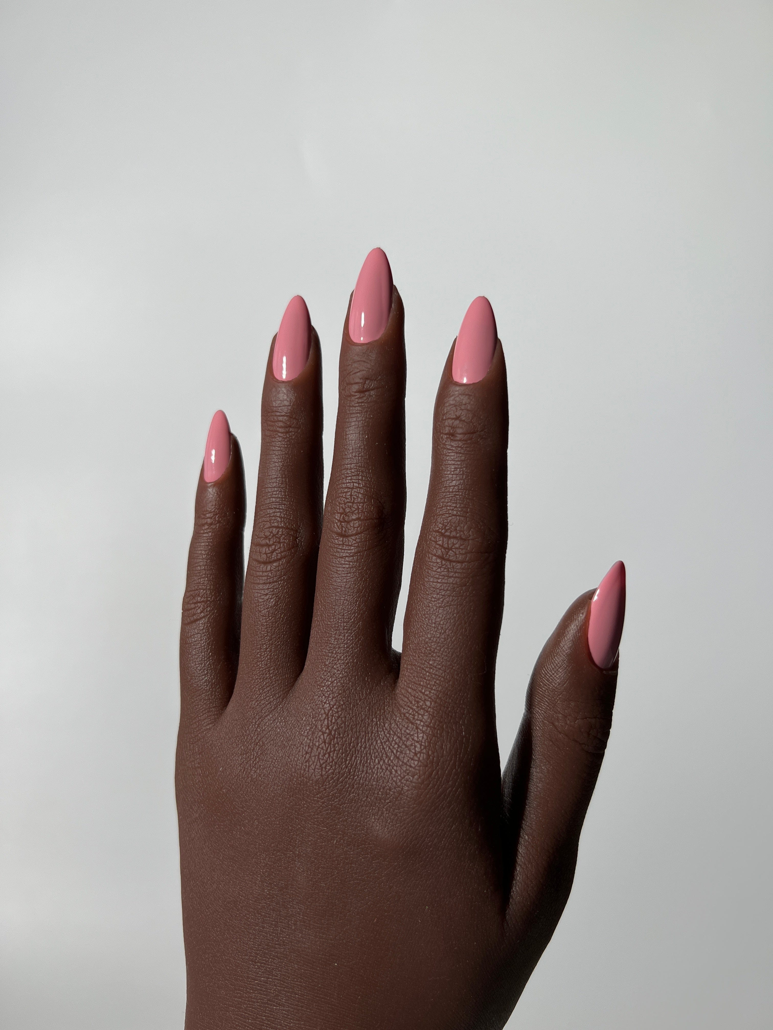 Pink Bonita Blush