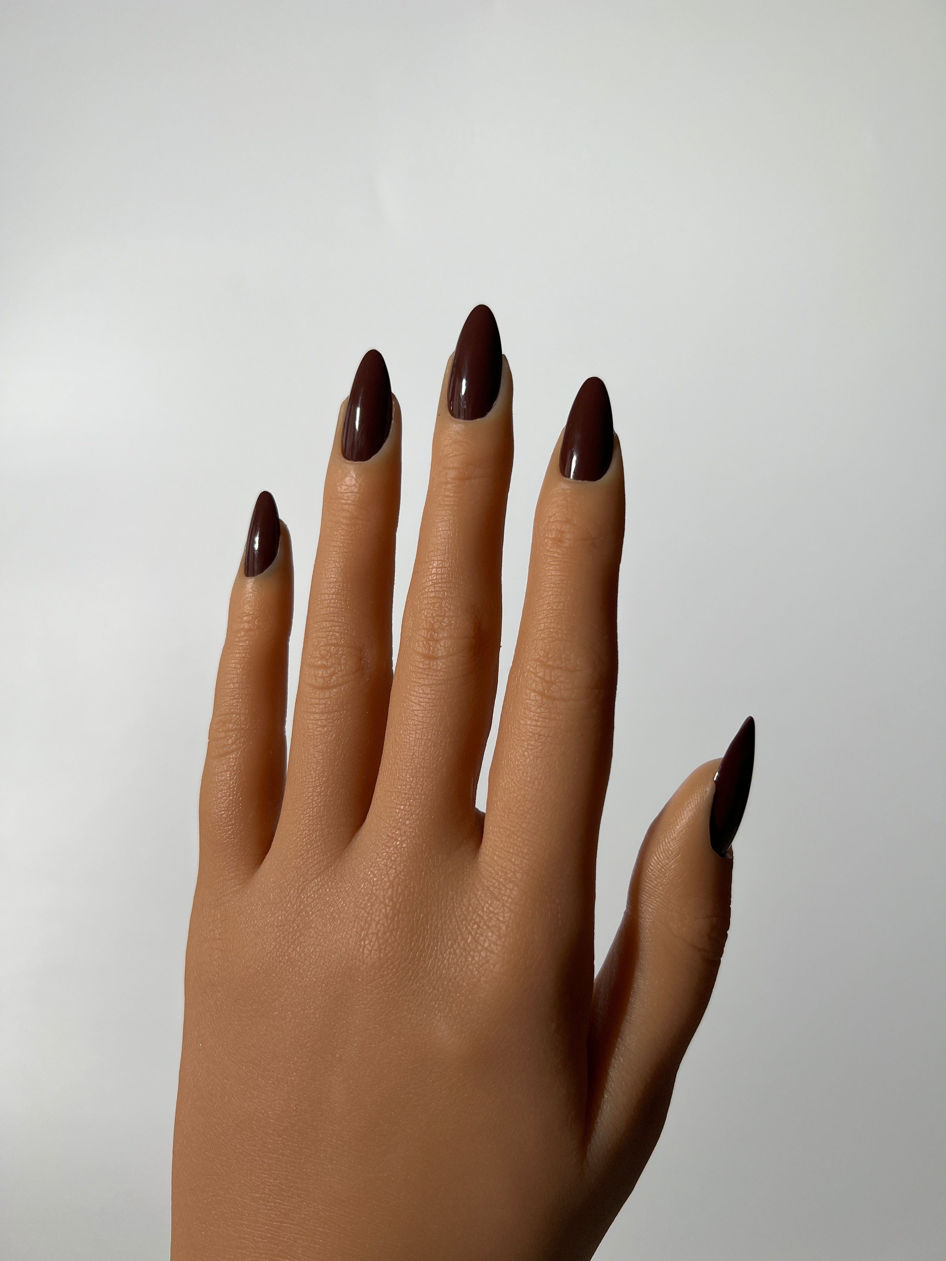 Brown Coco Chocolate