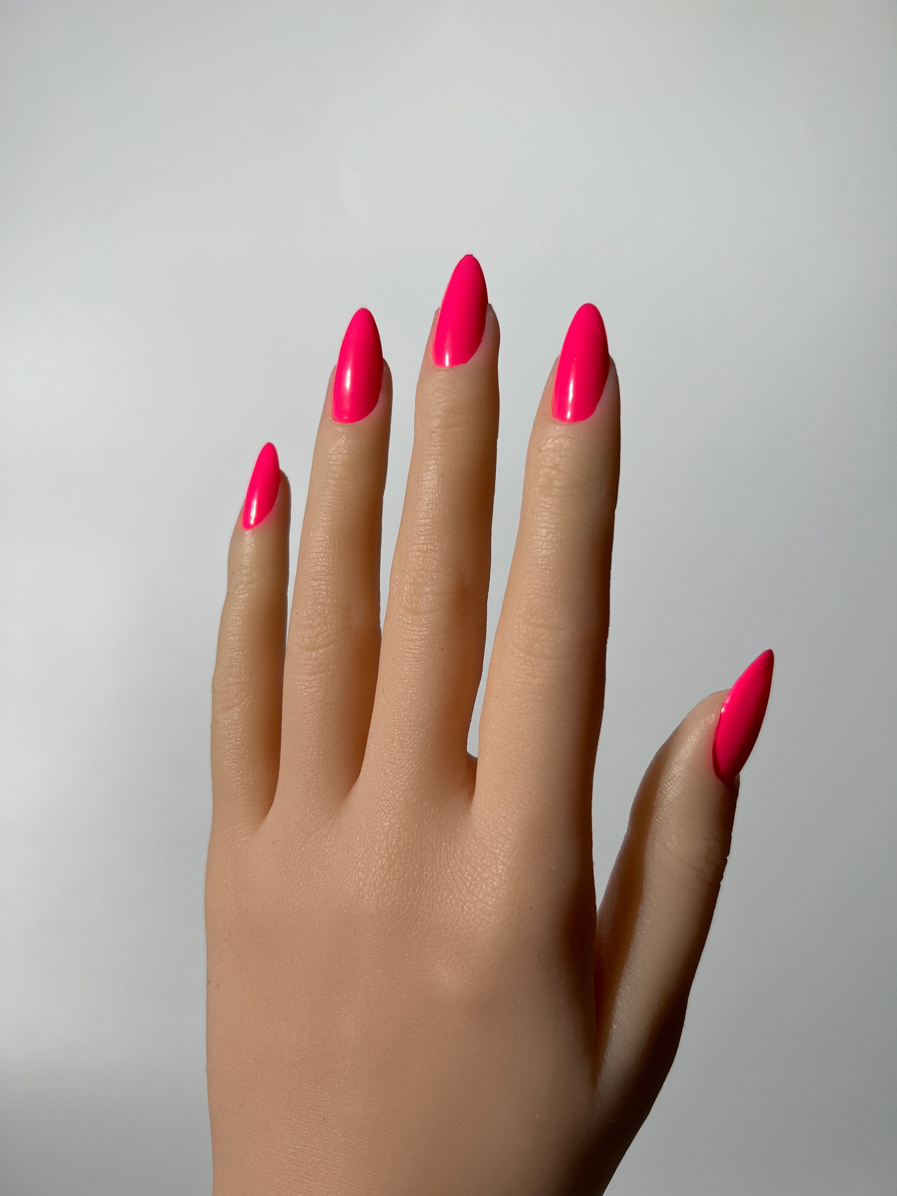Pink Holly Hot Pink