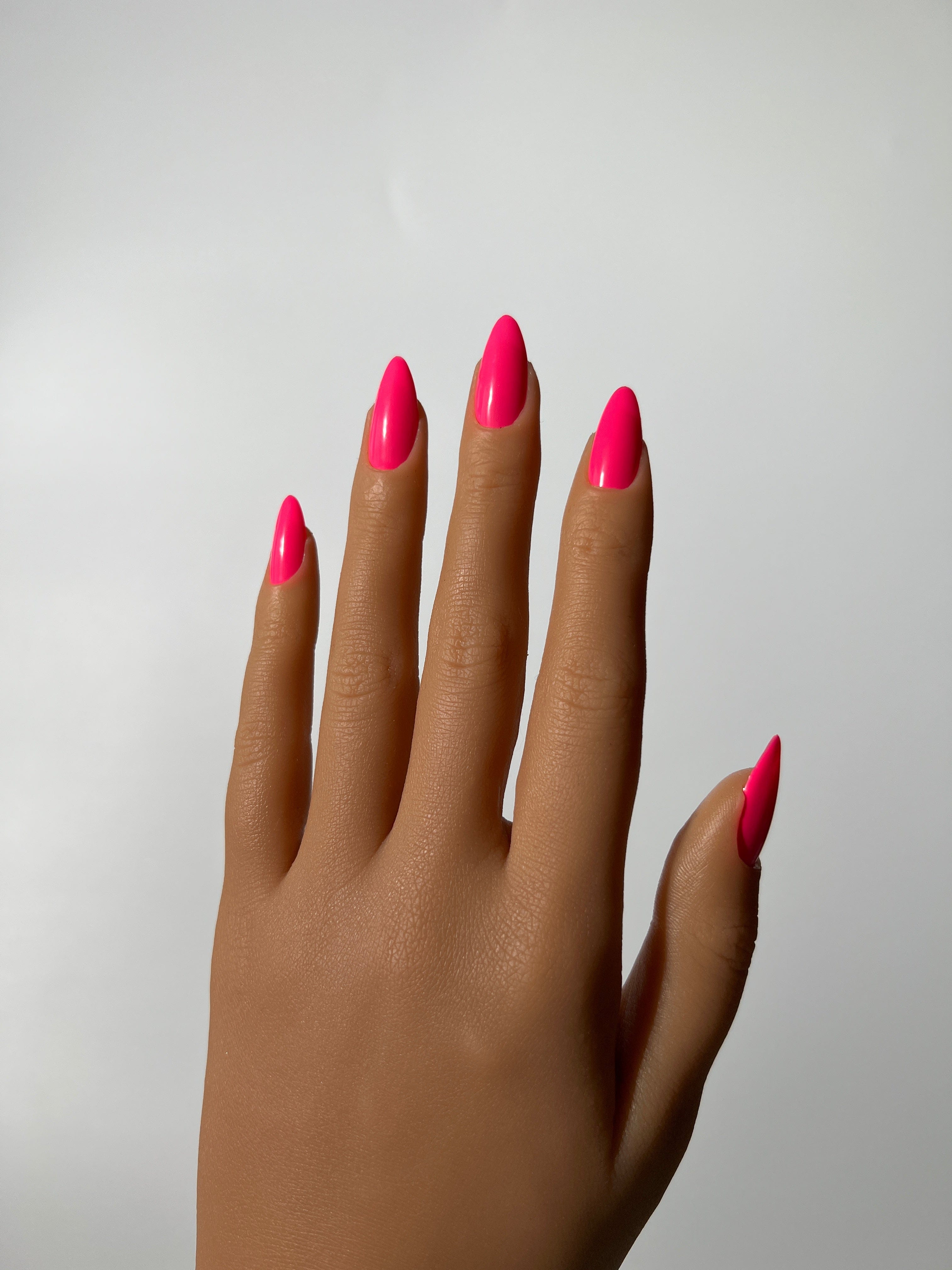 Pink Holly Hot Pink