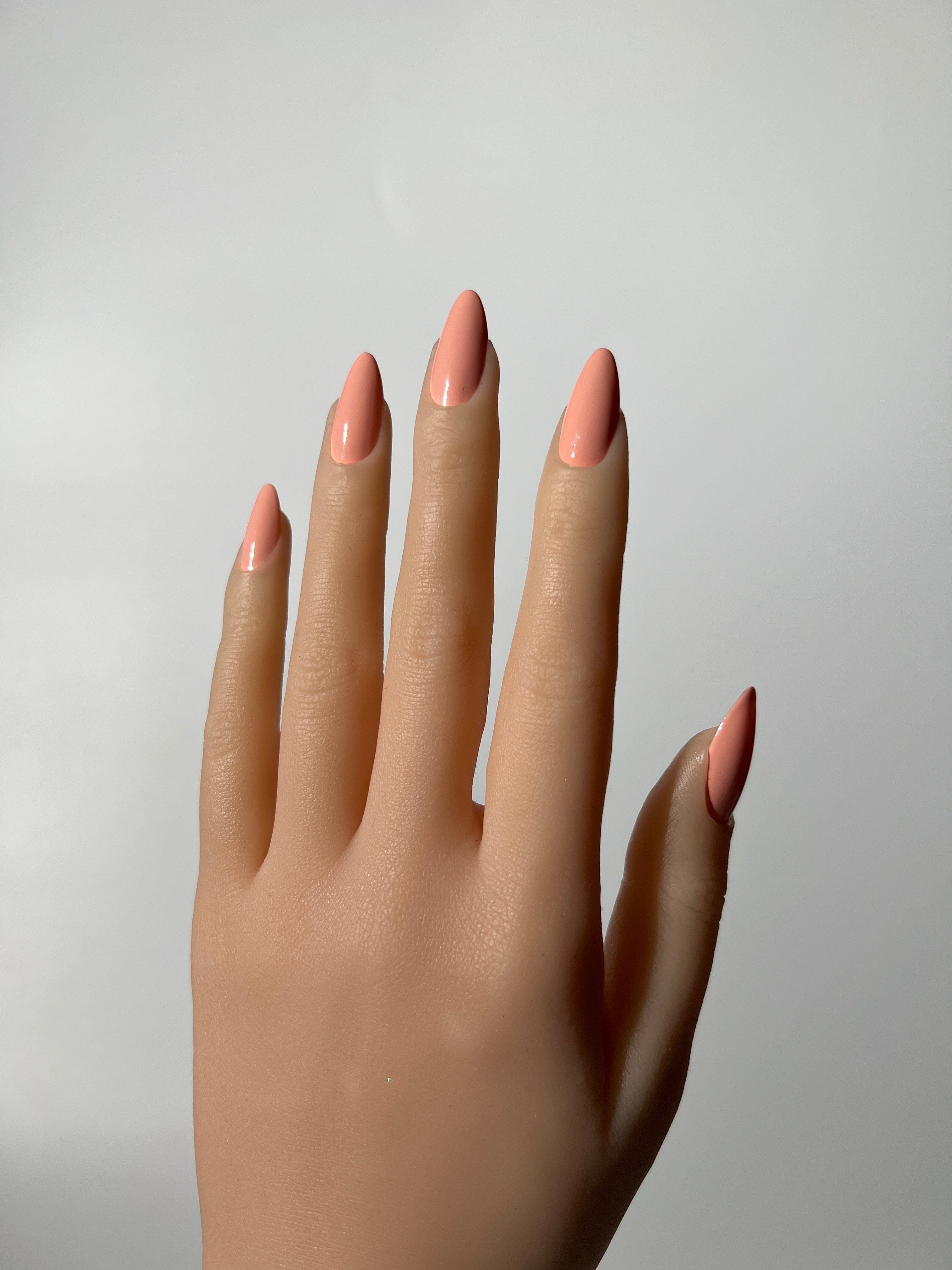Orange Poppy Peach