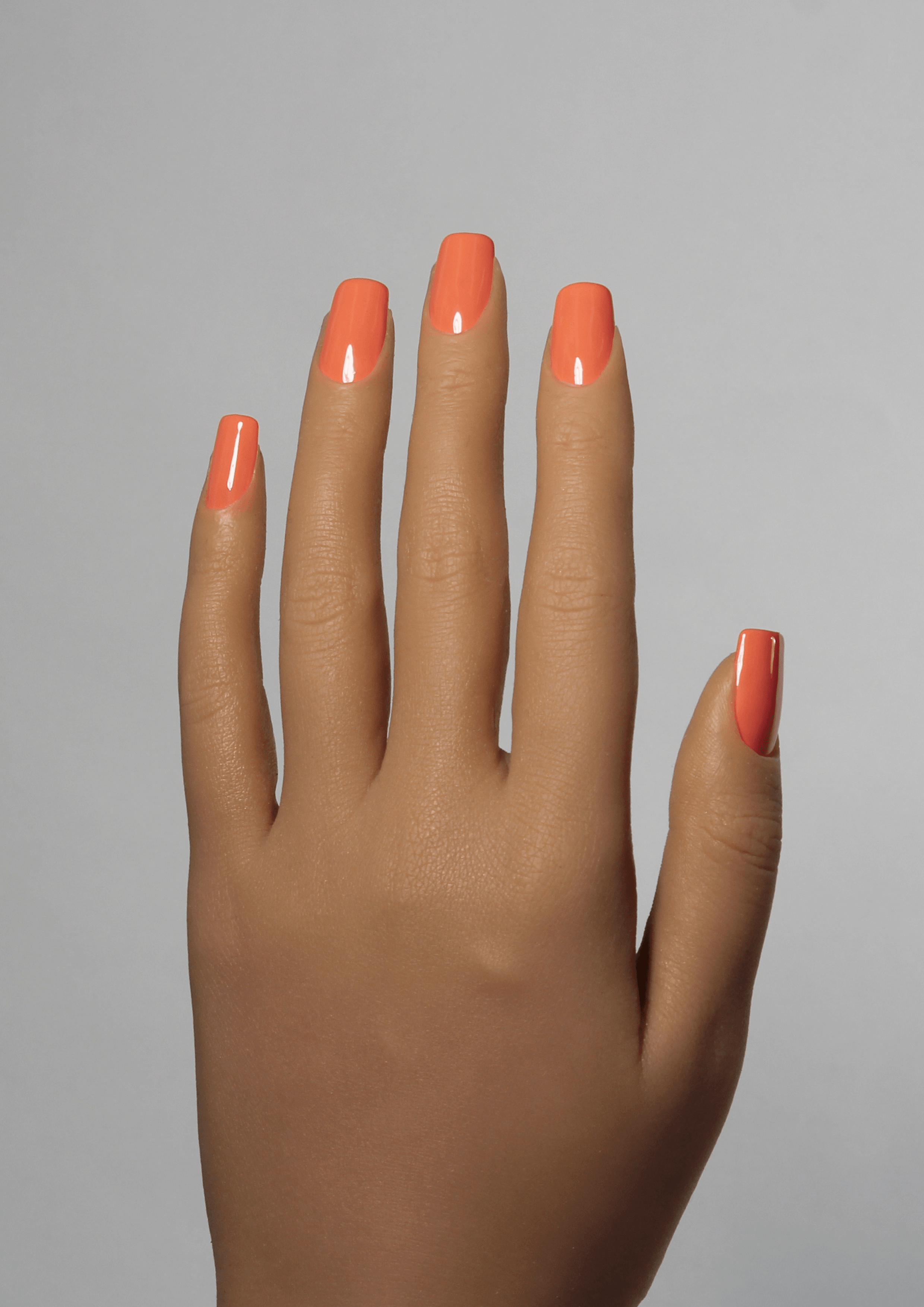 Talia Terracotta