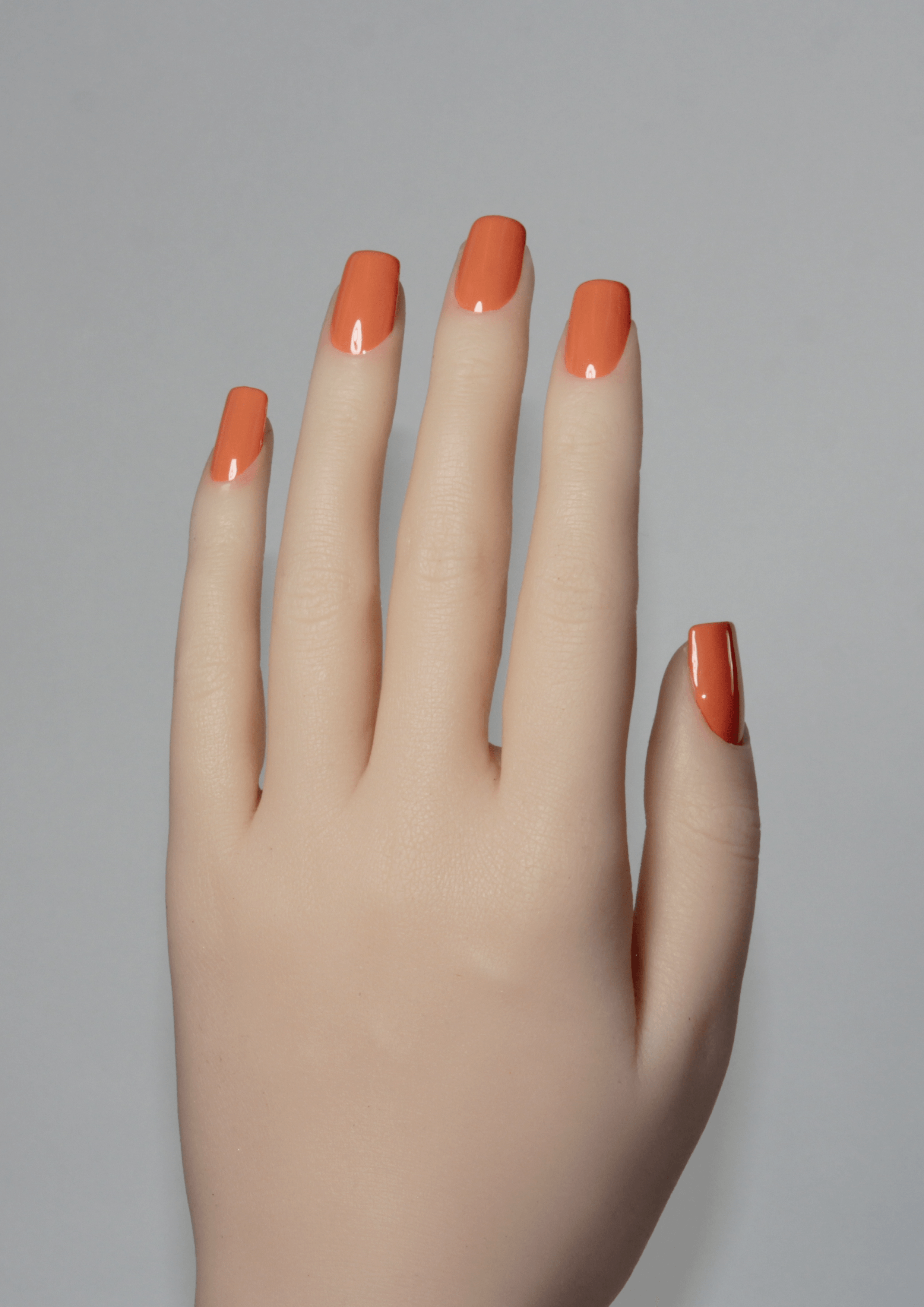 Talia Terracotta