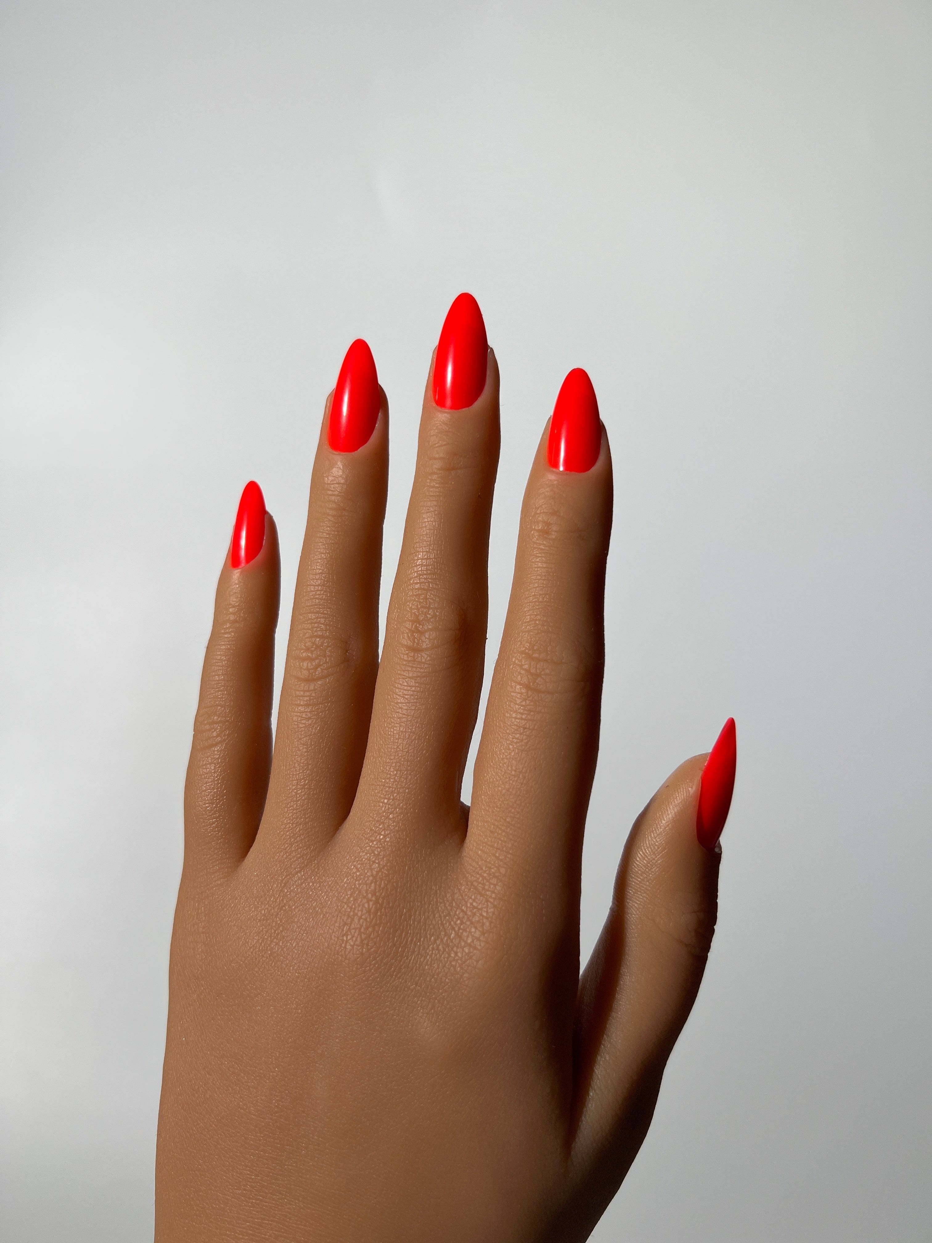 Orange Tammy Tangerine