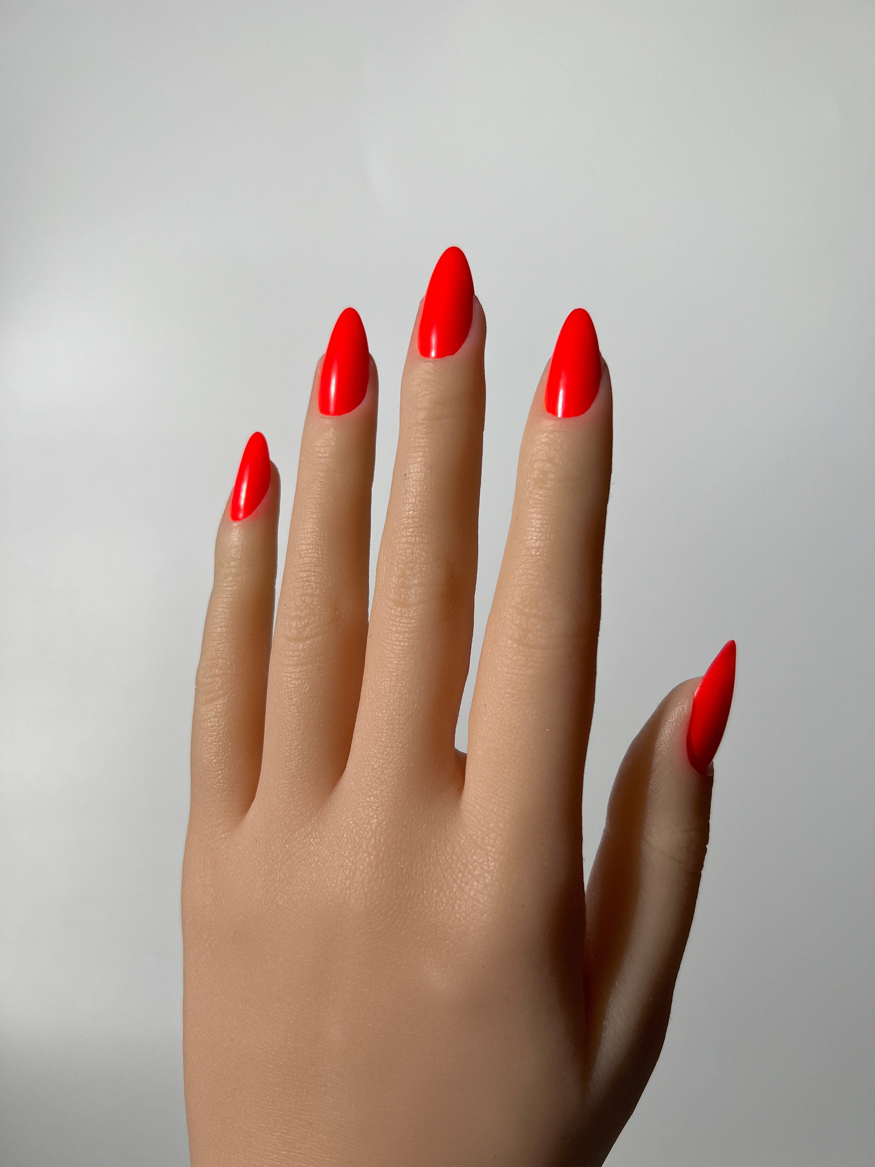 Orange Tammy Tangerine