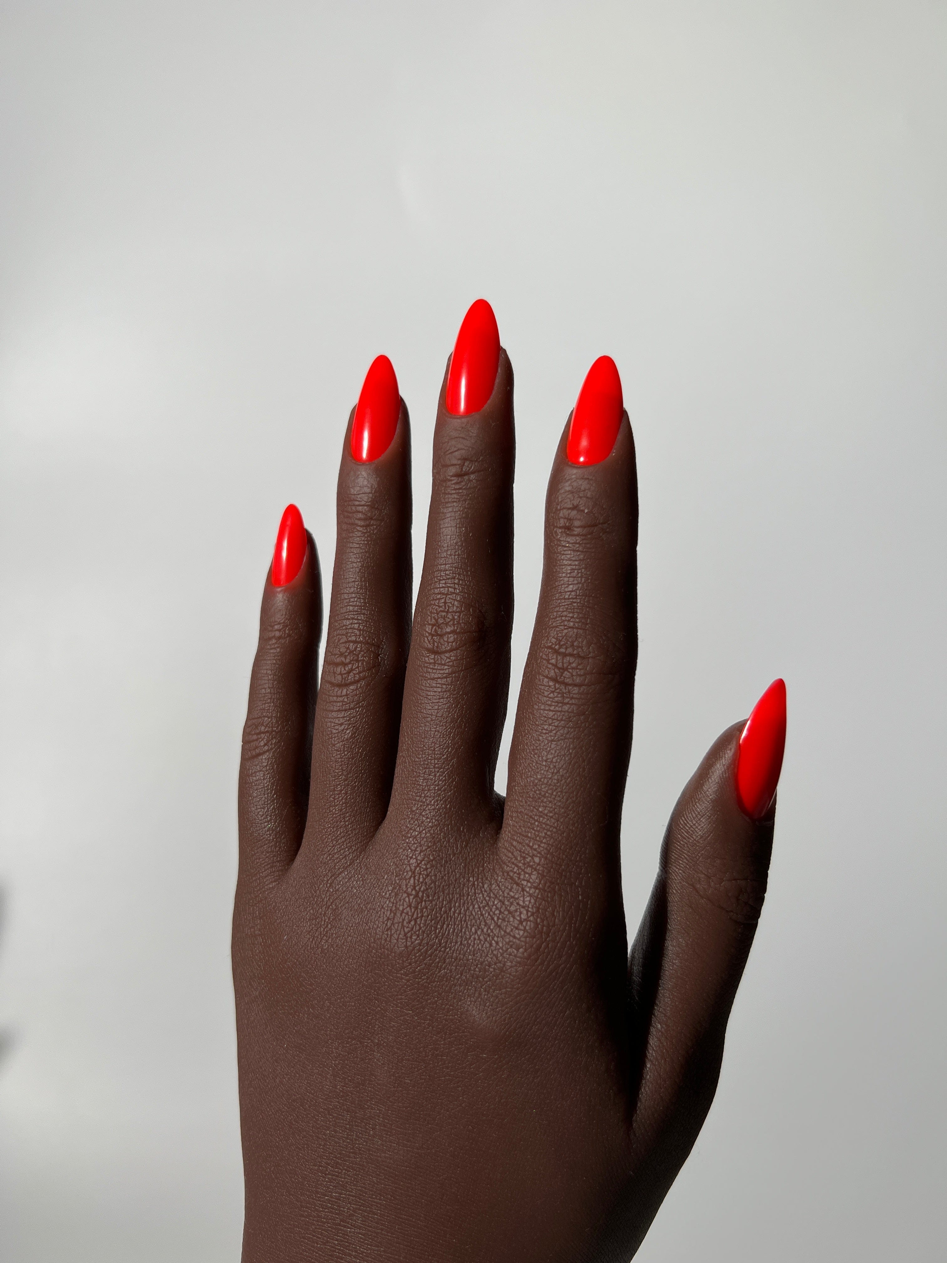 Orange Tammy Tangerine