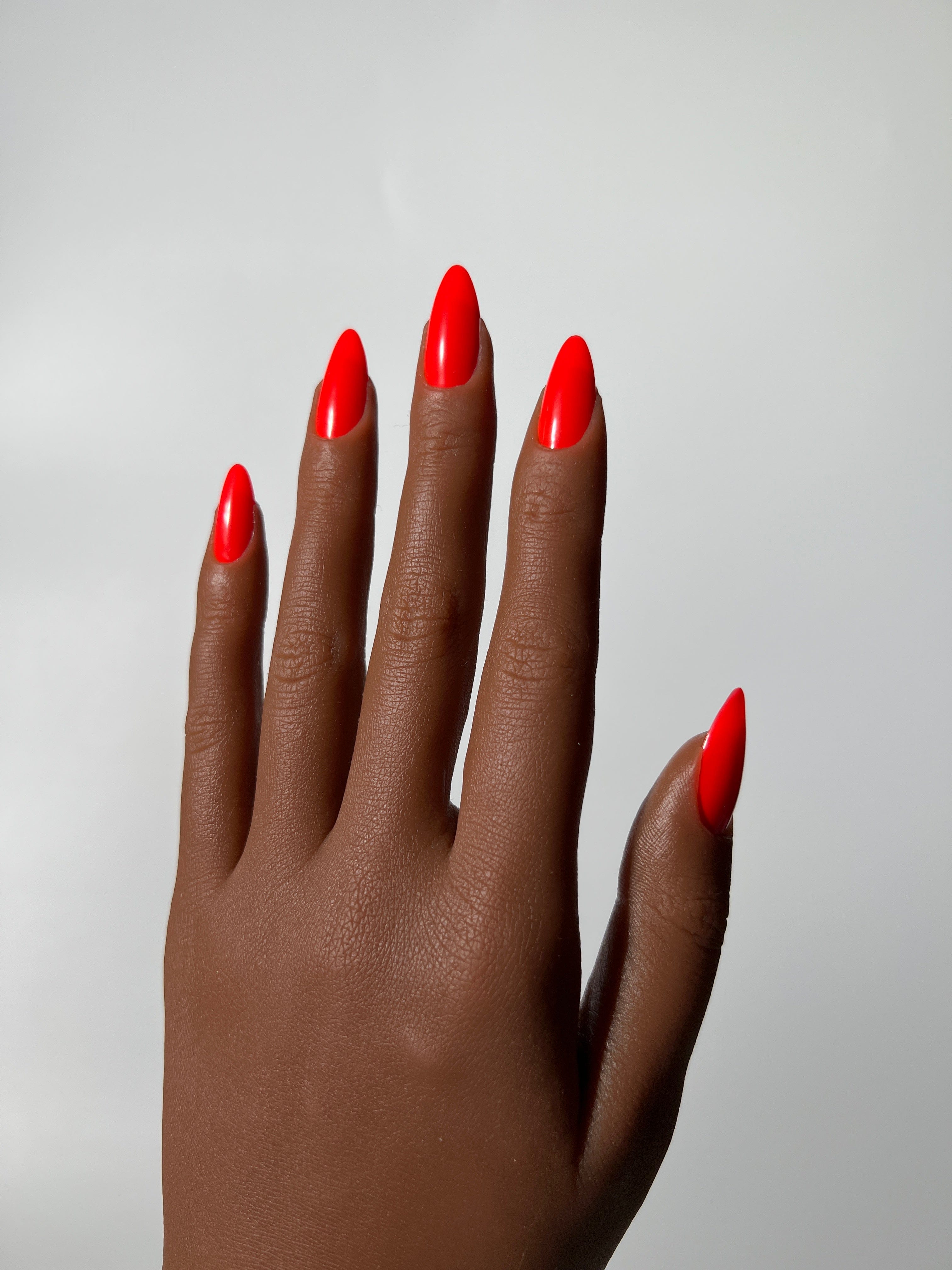 Orange Tammy Tangerine