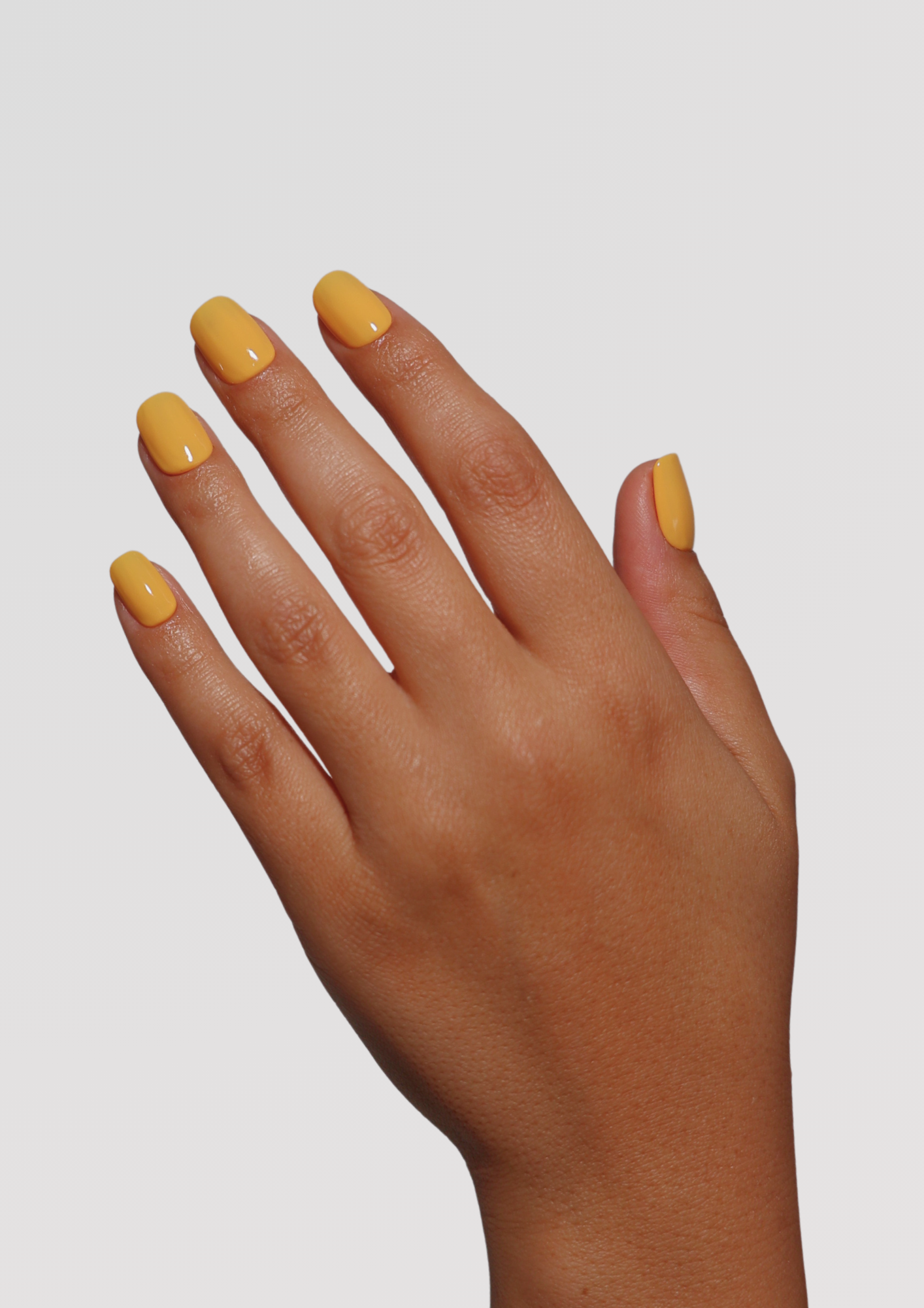 Andie Apricot