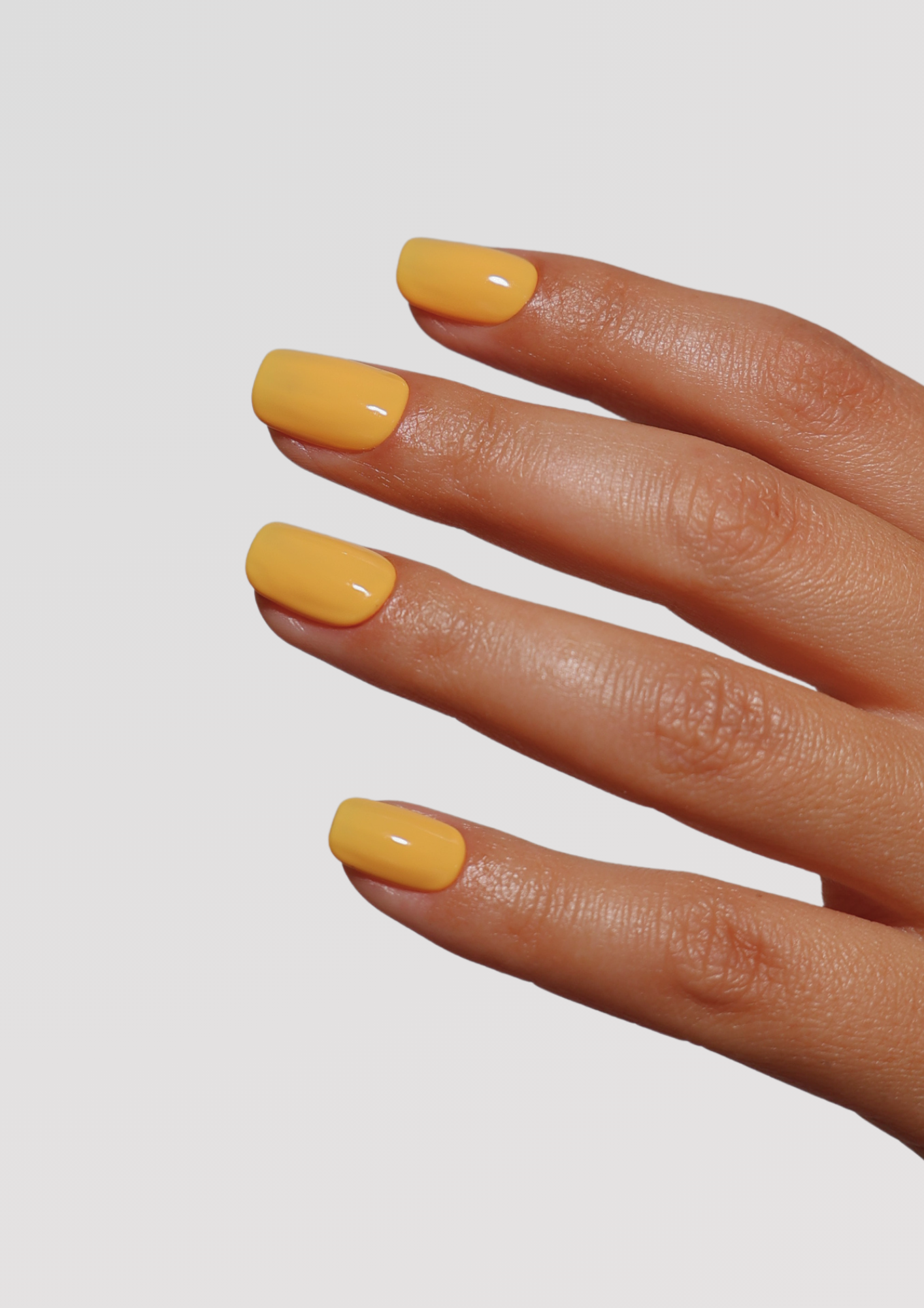 Andie Apricot