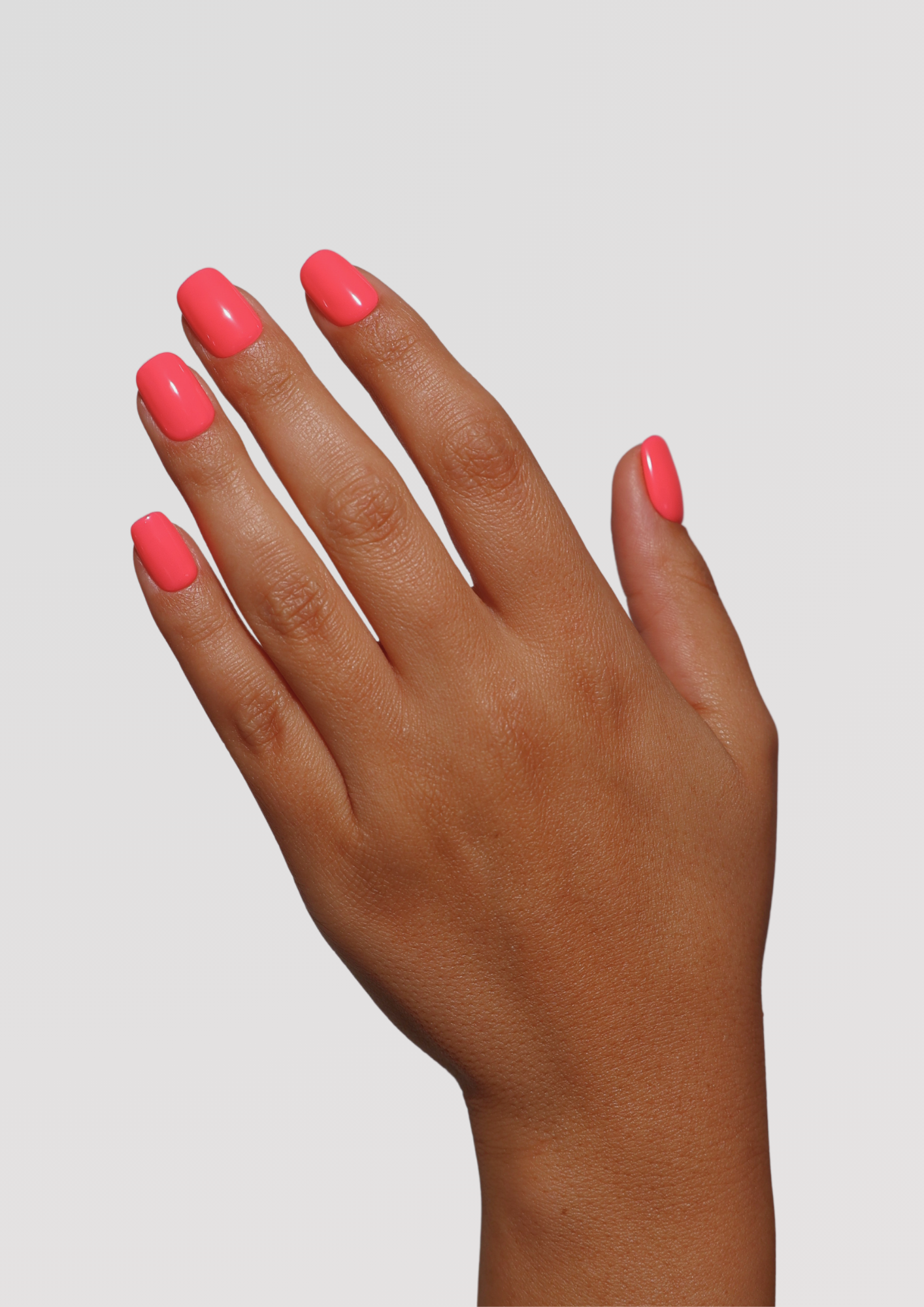 Holly Hot Pink