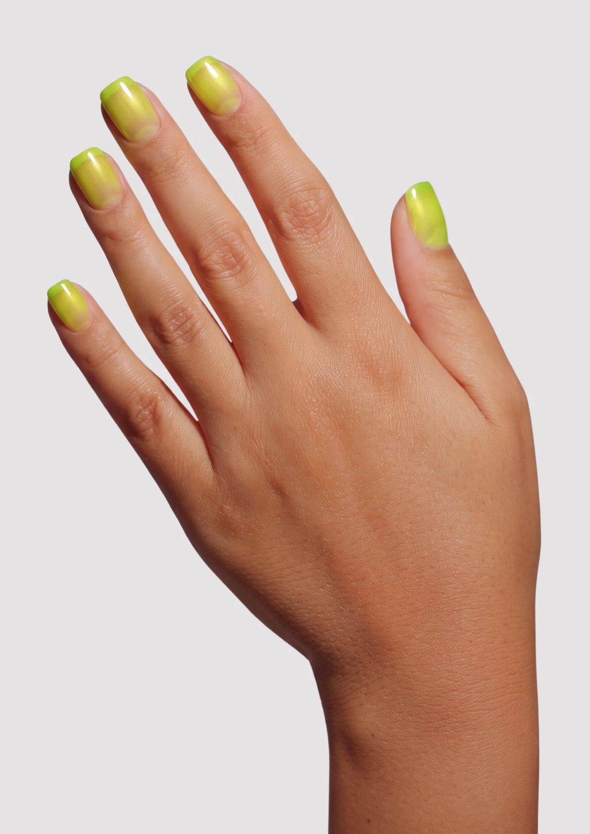 Lemon Lime | Jelly Gel