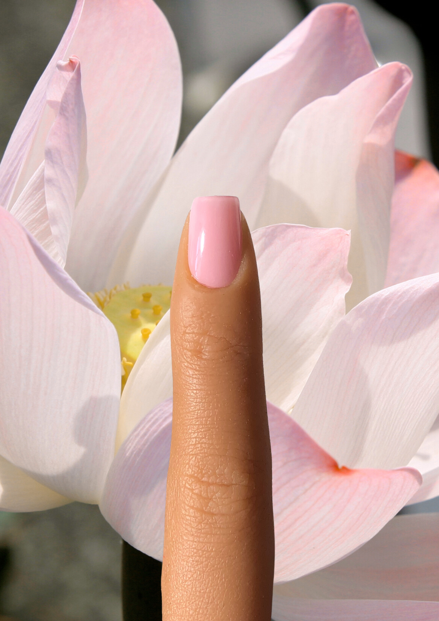 Lina Lotus Gel Wraps