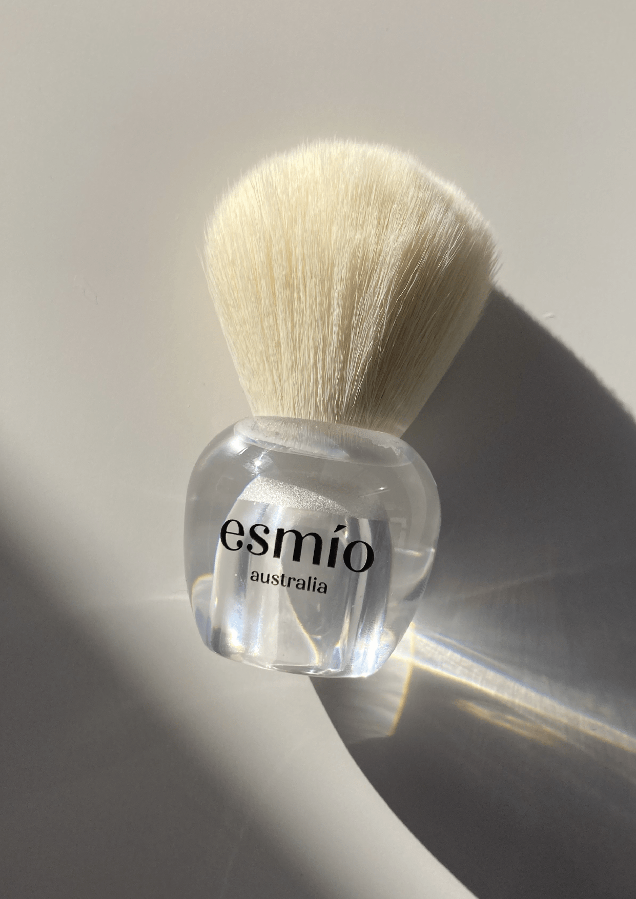Dusting Brush