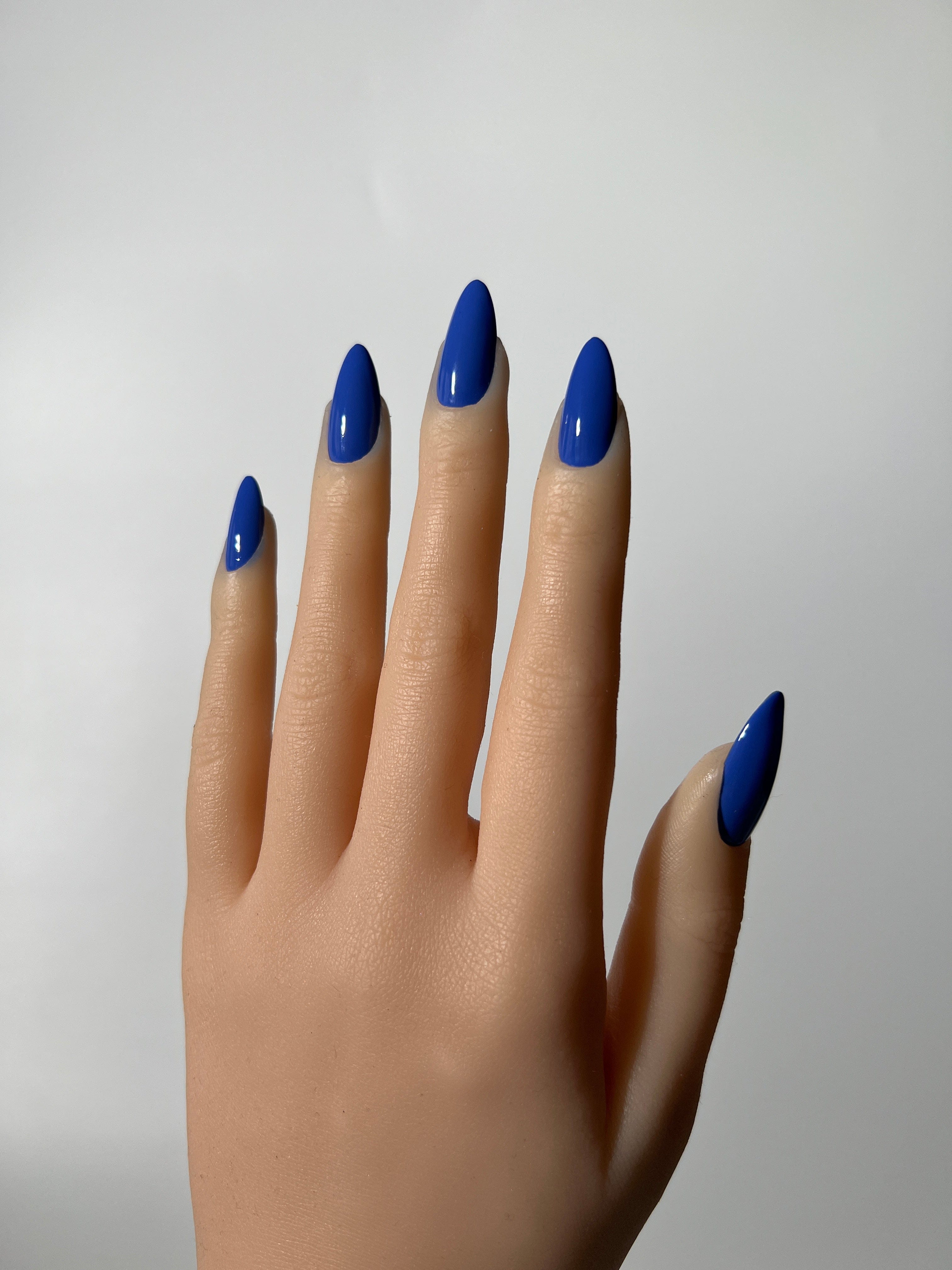 Blue Beverly Blue