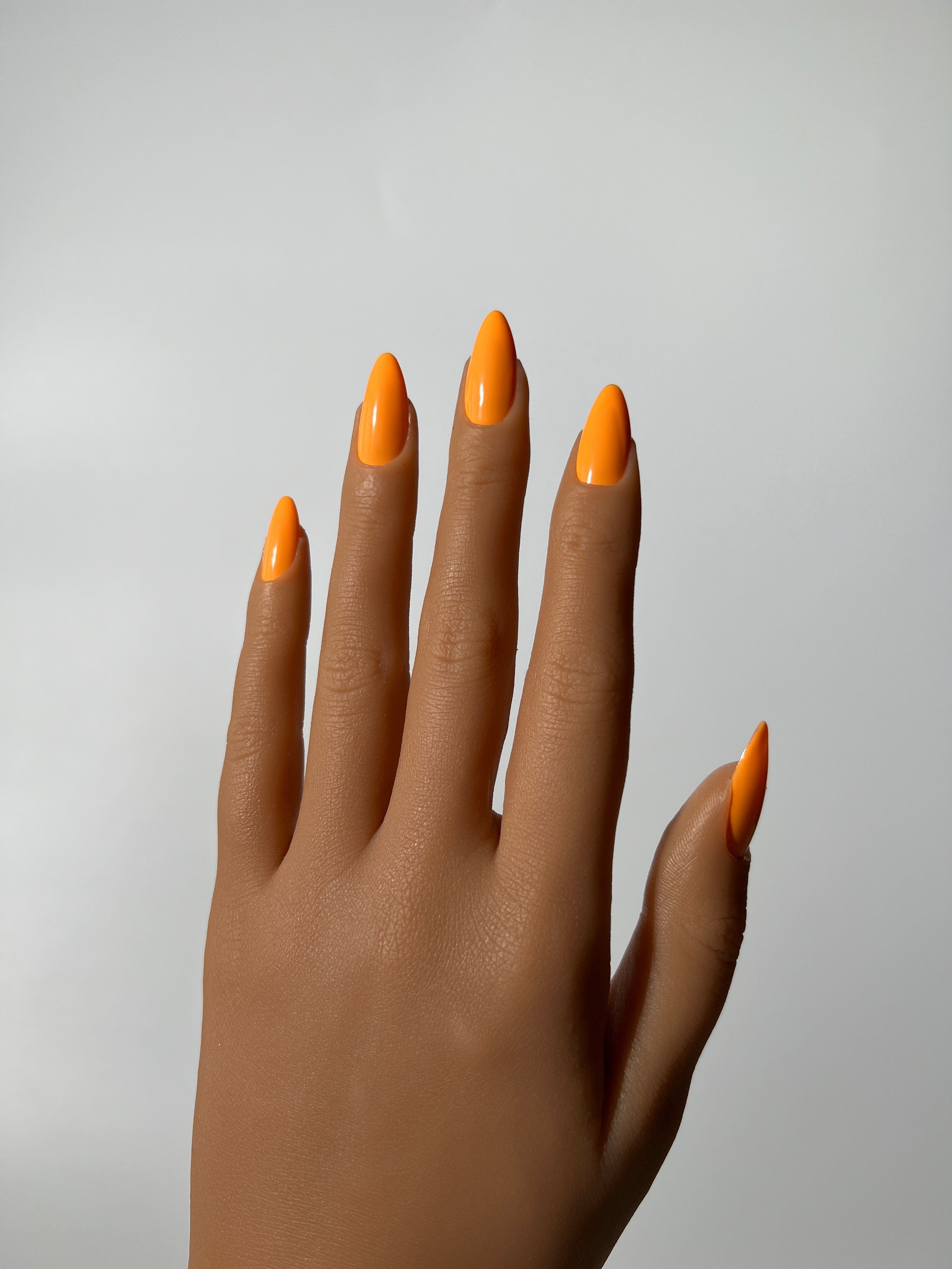 Orange Clara Carrot