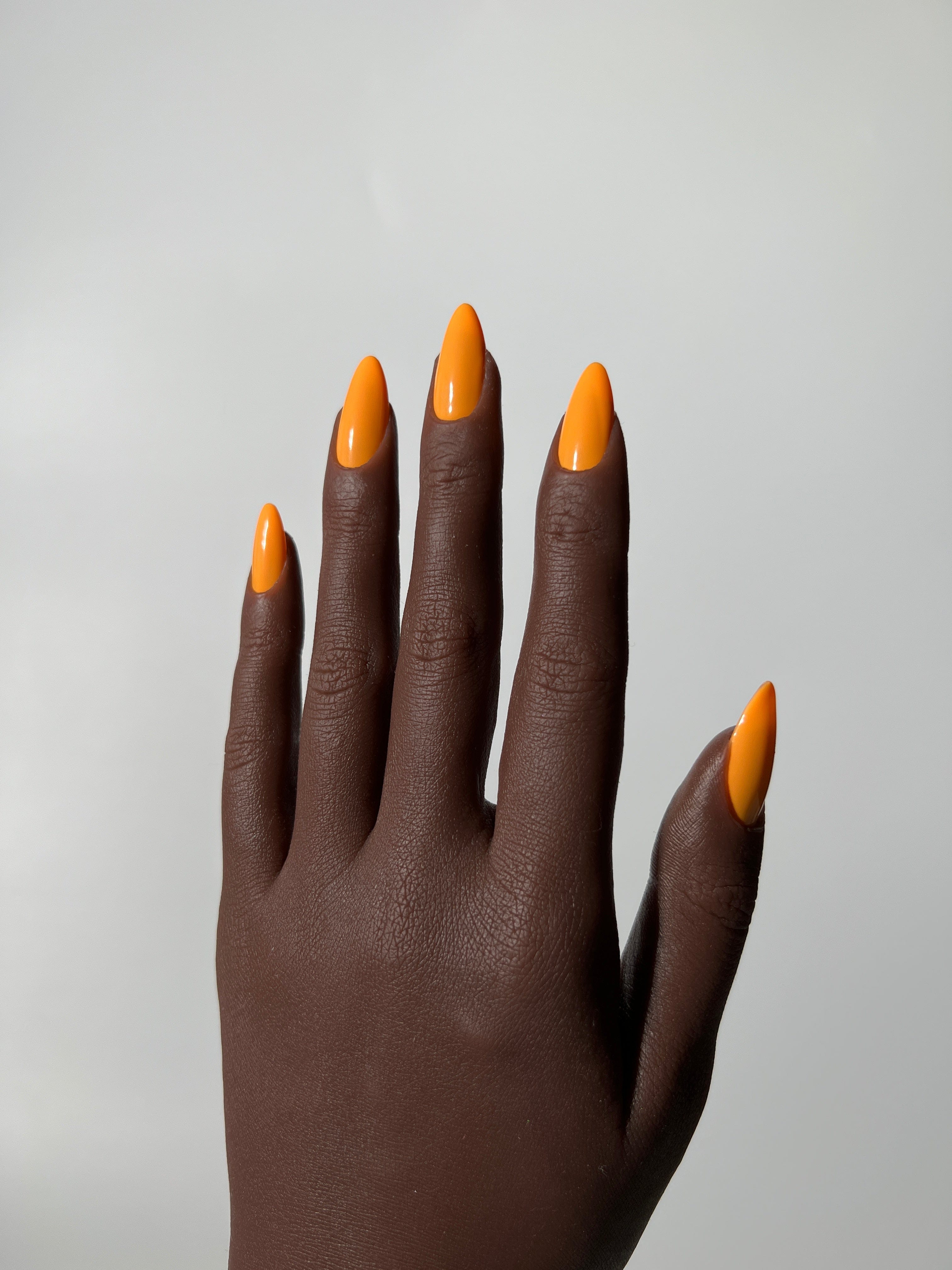 Orange Clara Carrot