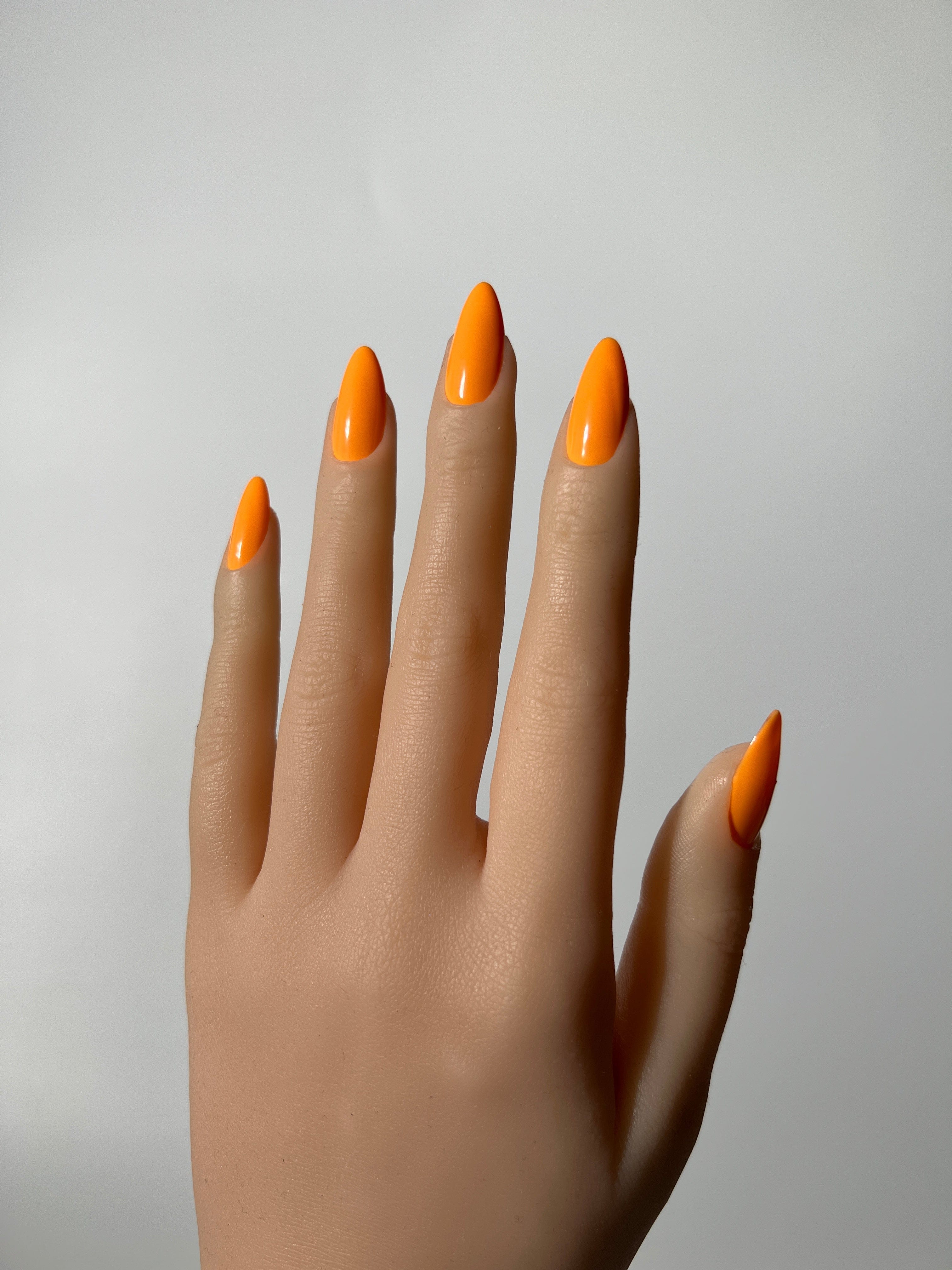 Orange Clara Carrot